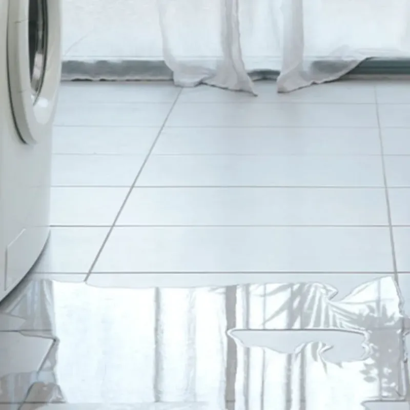 Appliance Leak Cleanup in San Pedro, CA